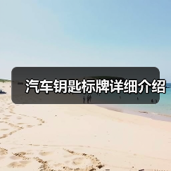 汽车钥匙标牌详细介绍（图2）