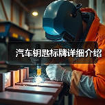 汽车钥匙标牌详细介绍（图4）