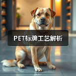 PET标牌工艺解析（图2）