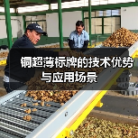 铜超薄标牌的技术优势与应用场景