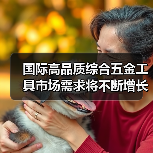 国际高品质综合五金工具市场需求将不断增长