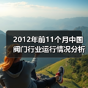 2012年前11个月中国阀门行业运行情况分析（图4）