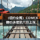 （纽约金属）COMEX铜价连续第六日上涨，基准期铜收高0.7%（图2）