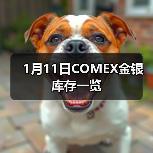 1月11日COMEX金银库存一览
