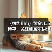 （纽约期市）黄金几近持平，关注鲍威尔讲话（图4）