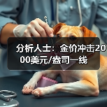 分析人士：金价冲击2000美元/盎司一线（图3）