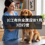 长江有色金属现货1月13日行情（图2）
