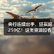 央行连续出手，狂买超250亿！这类资源股春季“躁动”，相关品种引关注（图3）