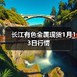 长江有色金属现货1月13日行情（图3）