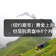 （纽约期市）黄金上涨，但是脱离盘中8个月来的高点，等待CPI数据（图1）