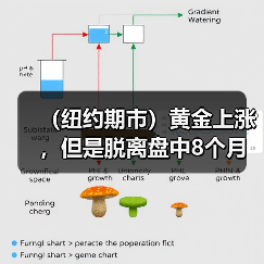 （纽约期市）黄金上涨，但是脱离盘中8个月来的高点，等待CPI数据