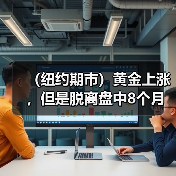 （纽约期市）黄金上涨，但是脱离盘中8个月来的高点，等待CPI数据（图4）