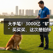 大手笔！3000亿“矿茅”买买买，这次是铅锌，竞拍底价223亿