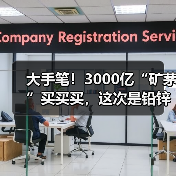大手笔！3000亿“矿茅”买买买，这次是铅锌，竞拍底价223亿（图4）