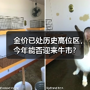 金价已处历史高位区,今年能否迎来牛市?(图4) 金价已处历史高位区,今年能否迎来牛市?(图4)