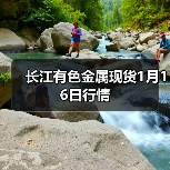 长江有色金属现货1月16日行情（图2）