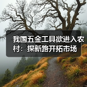 我国五金工具欲进入农村：探新路开拓市场（图2）